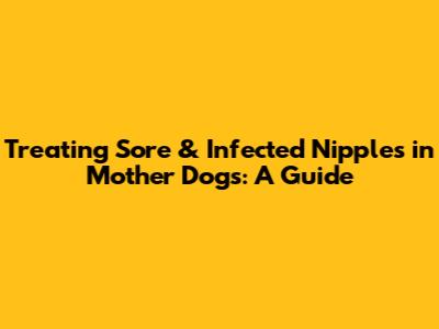 Treating Sore & Infected Nipples in Mother Dogs: A Guide