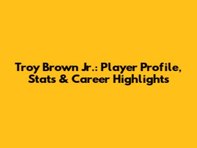 Troy Brown Jr.: Player Profile, Stats & Career Highlights