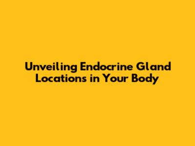 Unveiling Endocrine Gland Locations in Your Body