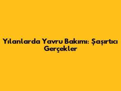 Yılanlarda Yavru Bakımı: Şaşırtıcı Gerçekler